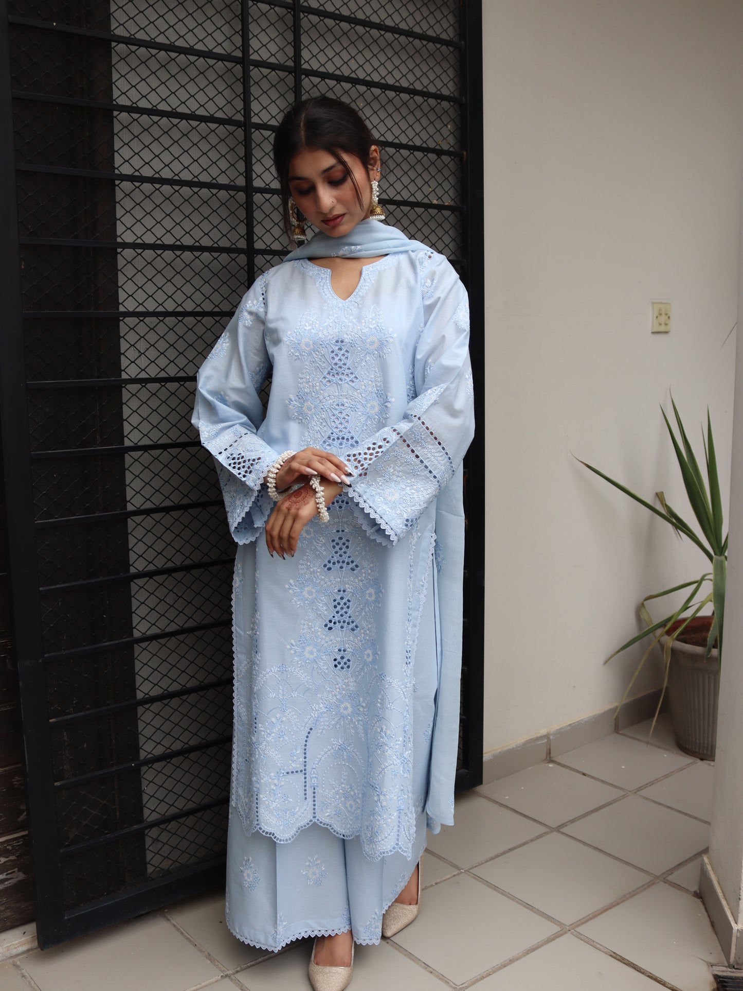 Roshni